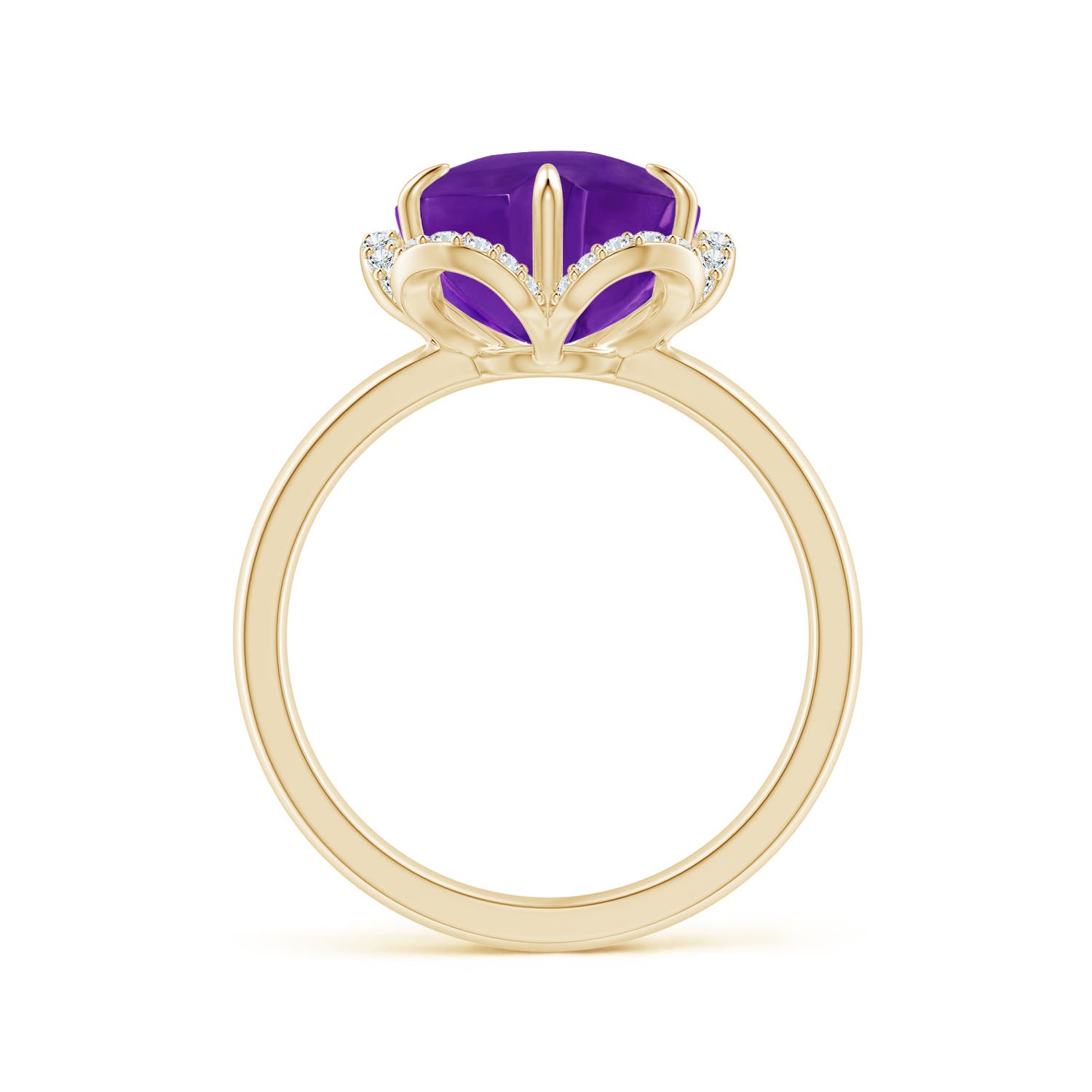 AAAA - Amethyst / 4.55 CT / 14 KT Yellow Gold