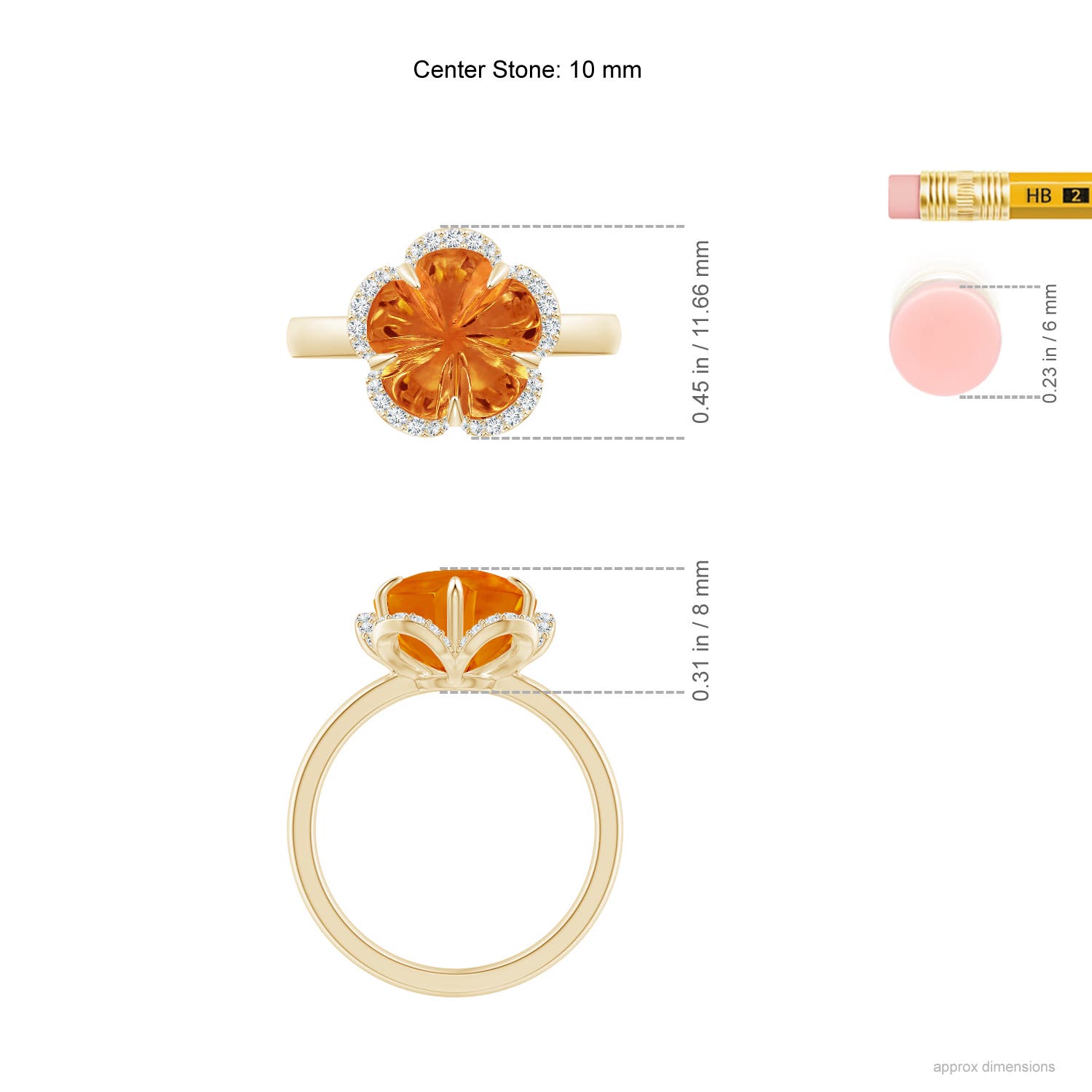 AAAA - Citrine / 4.55 CT / 14 KT Yellow Gold