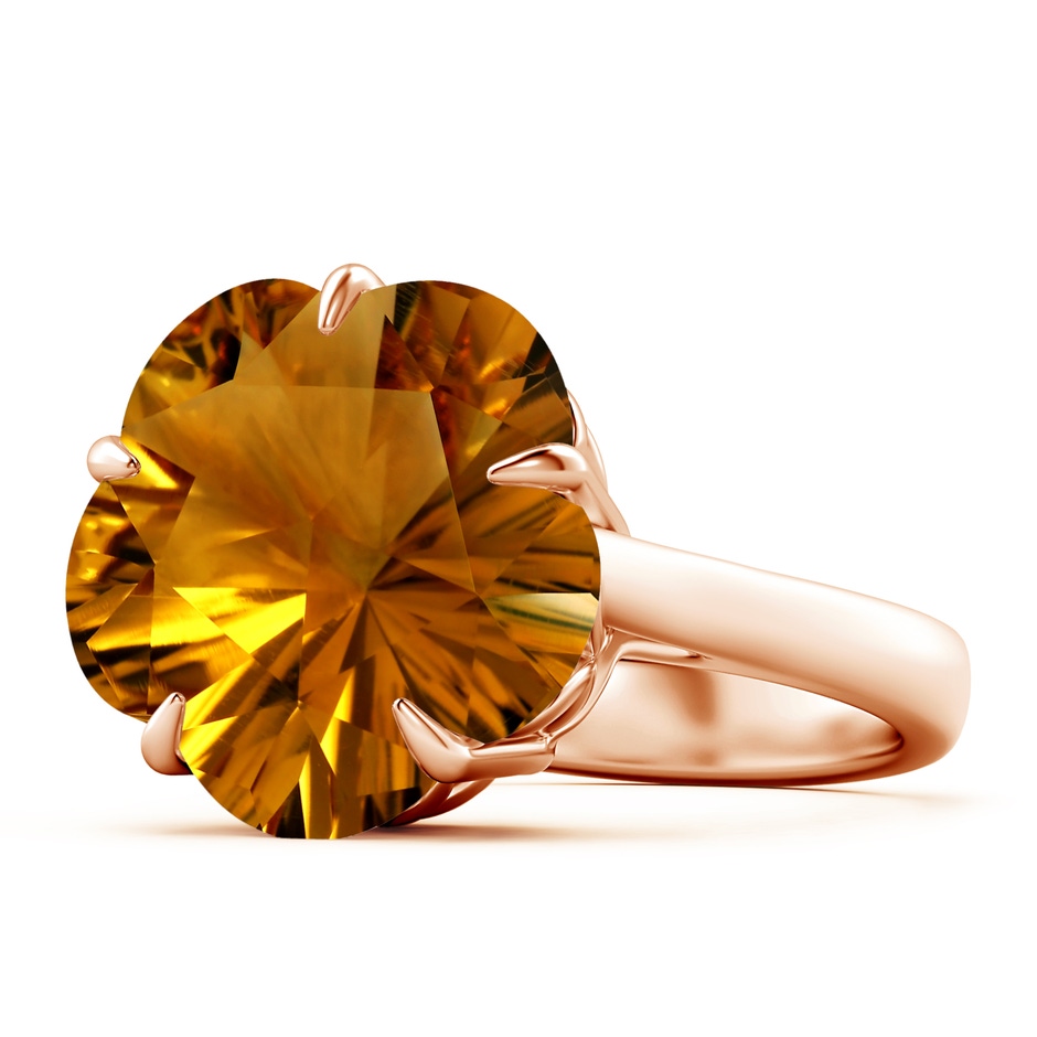 14.87x15.04x9.25mm AAAA FC_SR2818CT_H-RG-AAAA-14.87x15.04x9.25 in Rose Gold side 199