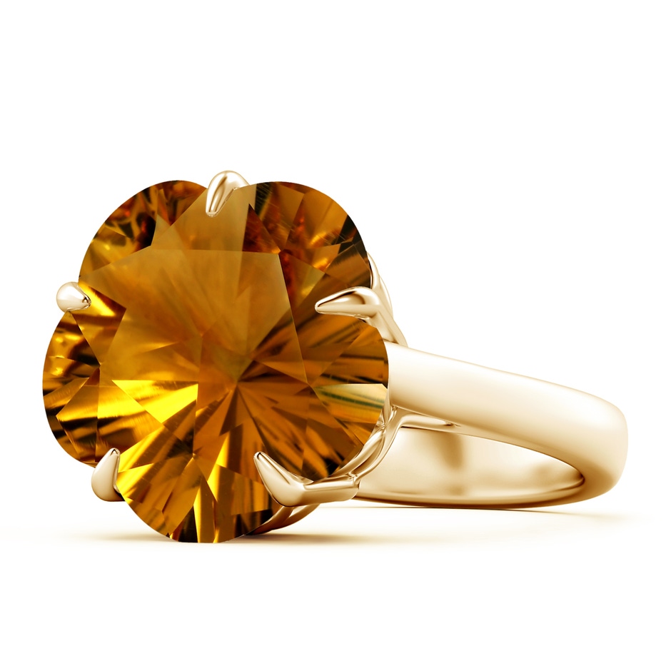 14.87x15.04x9.25mm AAAA FC_SR2818CT_H-YG-AAAA-14.87x15.04x9.25 in Yellow Gold side 199