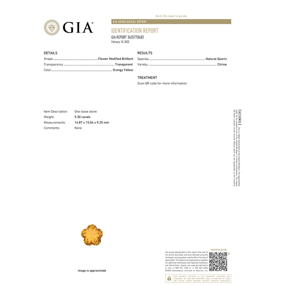 FC_SR2818CT_H GIA_Certificate gia-cert