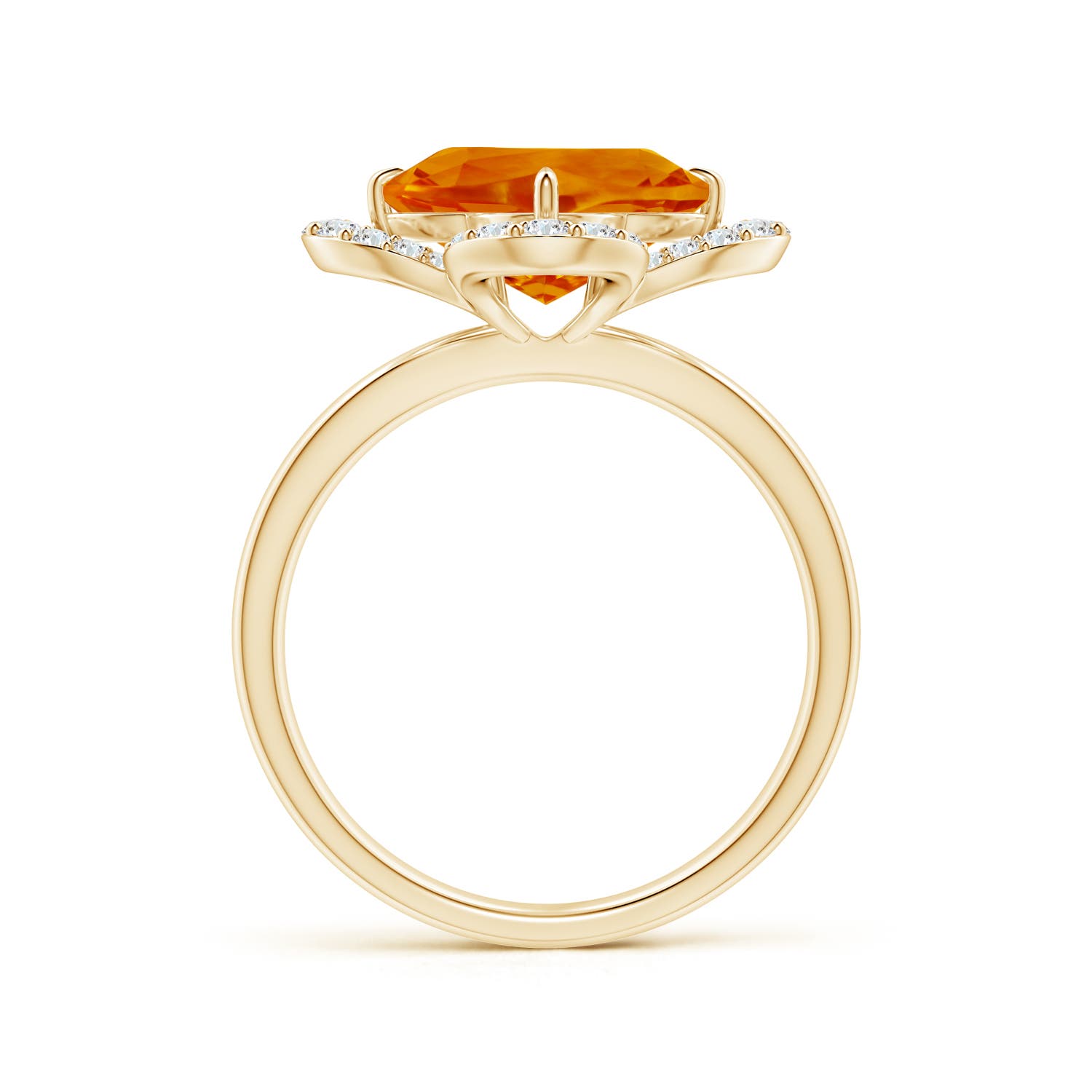 AAAA - Citrine / 3.62 CT / 14 KT Yellow Gold