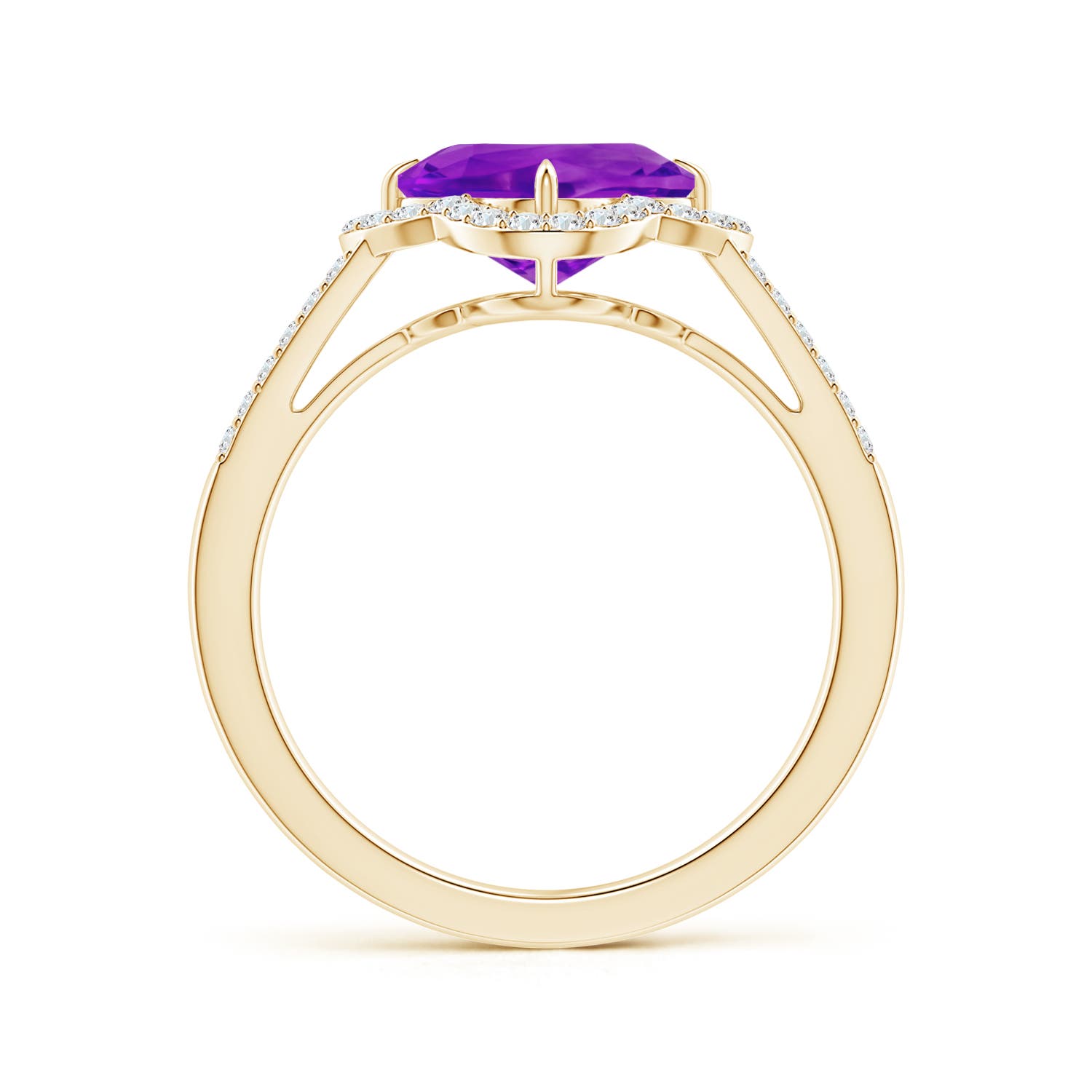 AAAA - Amethyst / 2.68 CT / 14 KT Yellow Gold