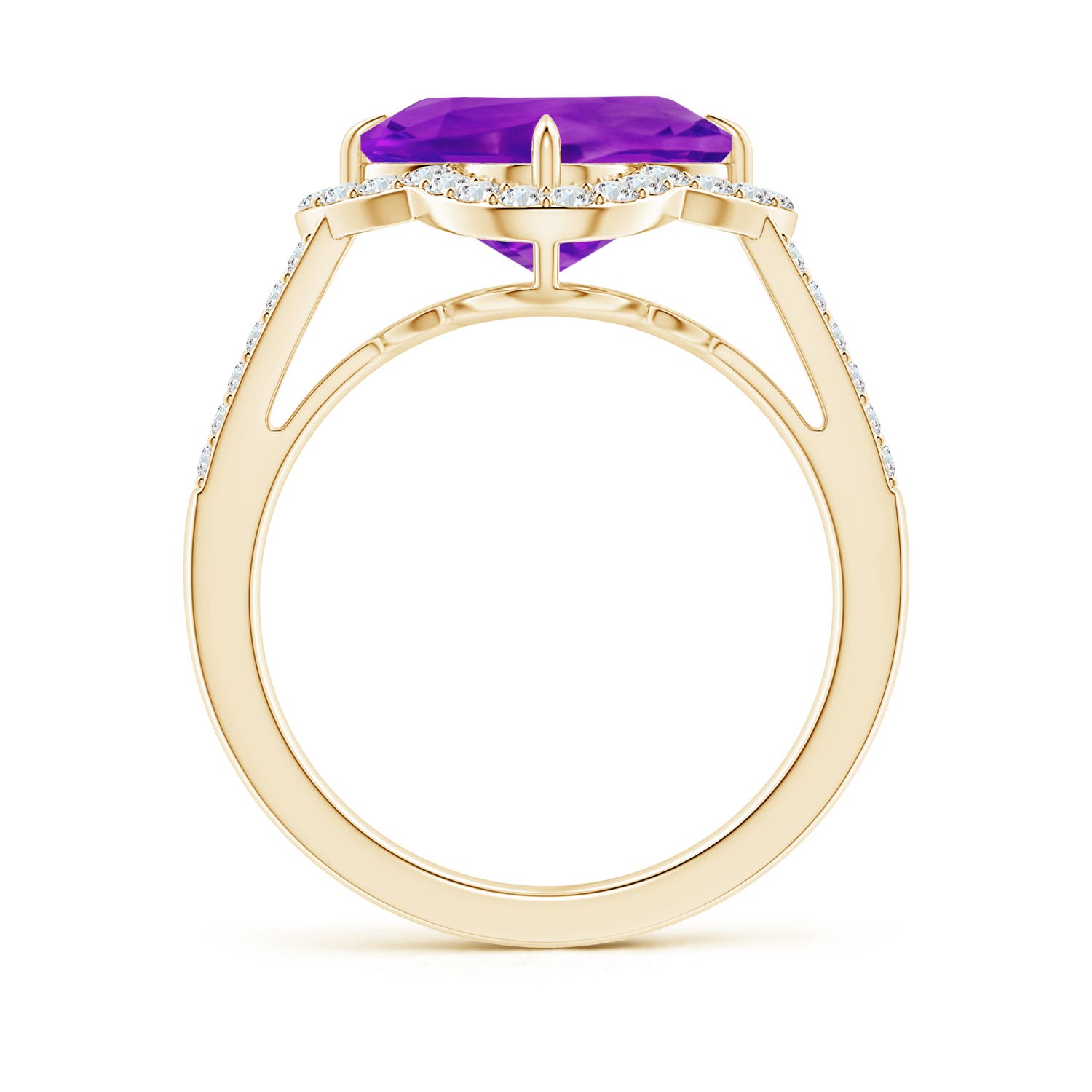 AAAA - Amethyst / 3.79 CT / 14 KT Yellow Gold