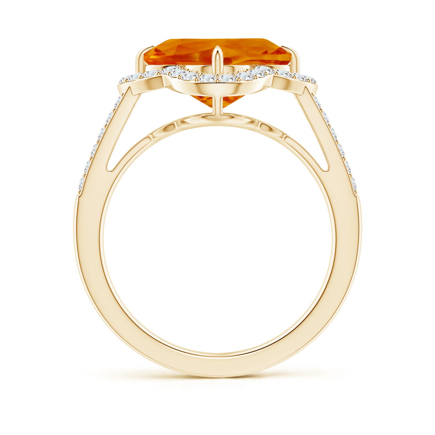 AAAA - Citrine / 3.79 CT / 14 KT Yellow Gold