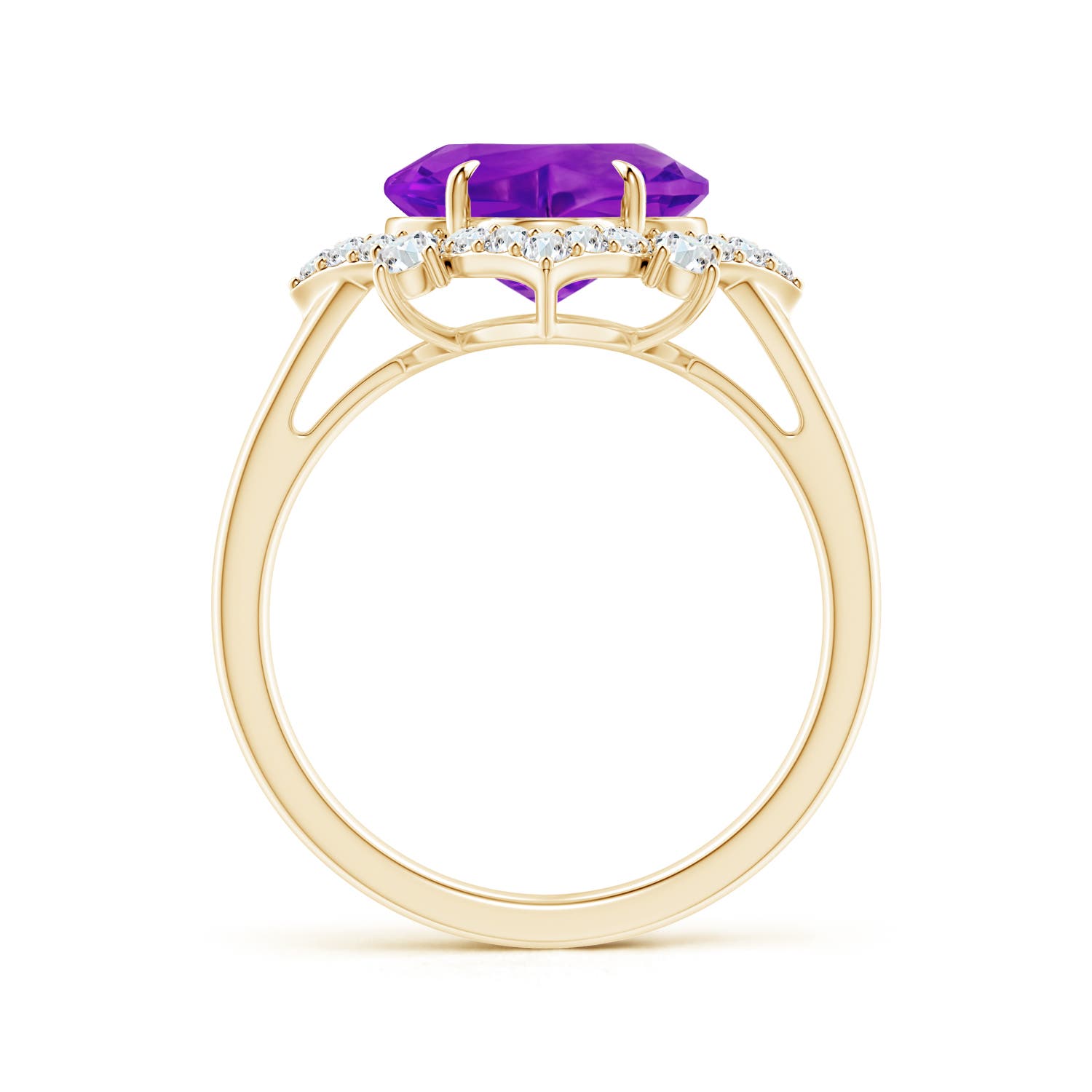 AAAA - Amethyst / 3.98 CT / 14 KT Yellow Gold