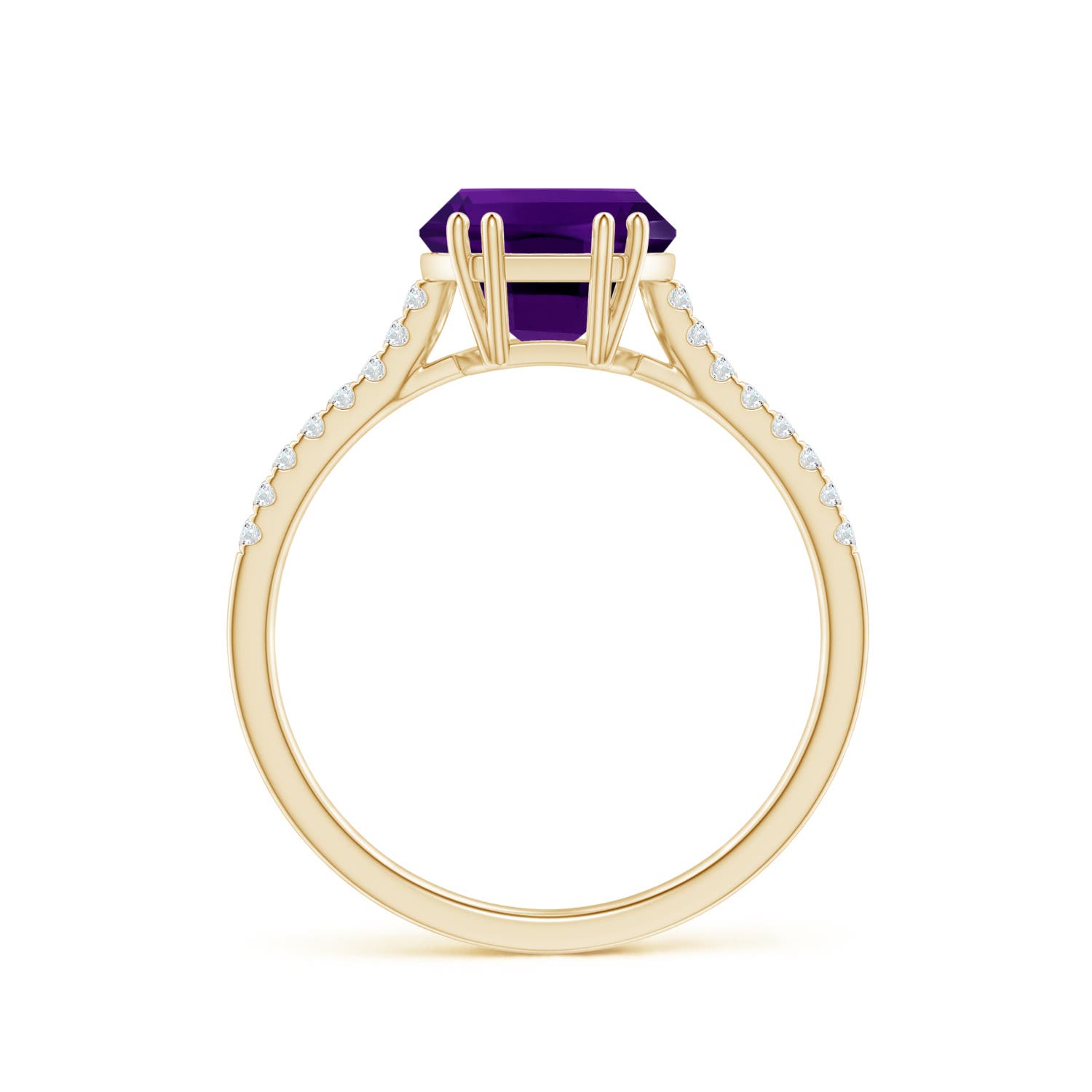 AAAA - Amethyst / 3.03 CT / 14 KT Yellow Gold