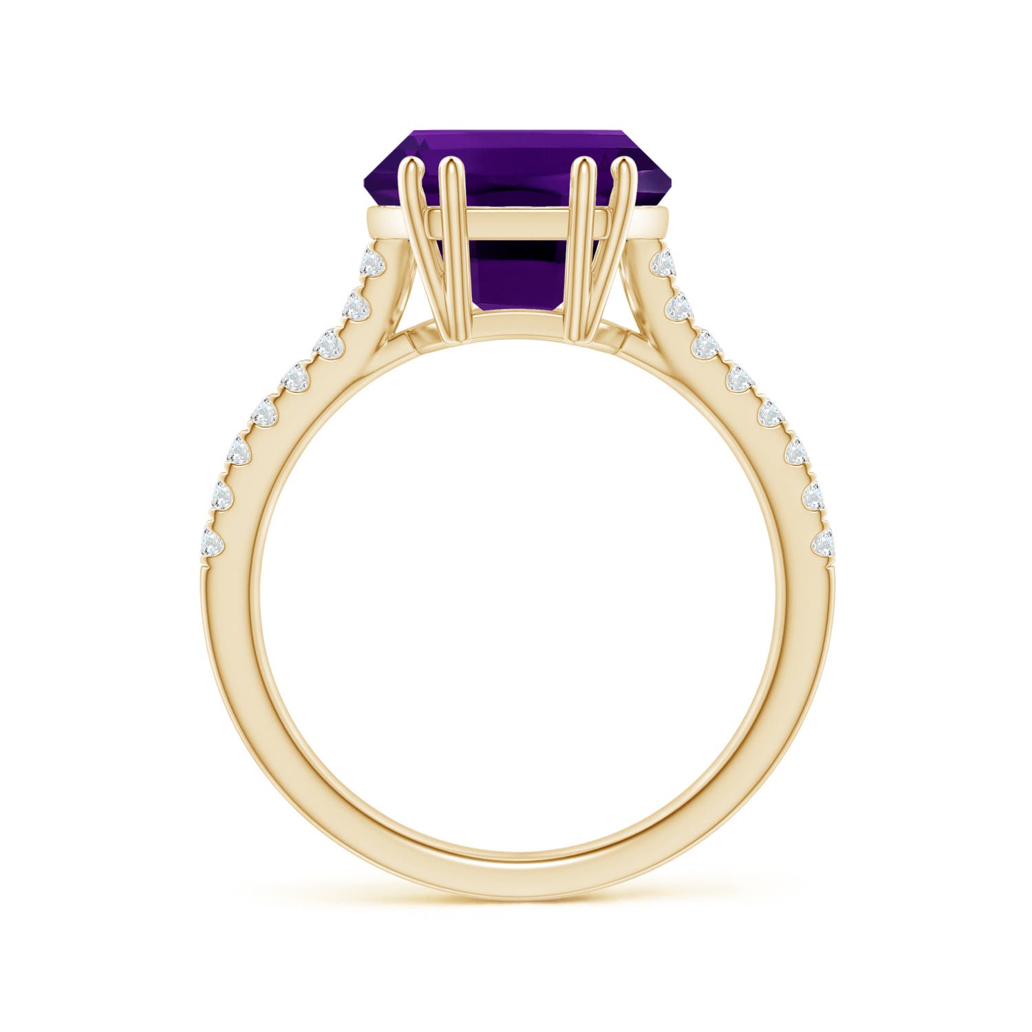 AAAA - Amethyst / 4.66 CT / 14 KT Yellow Gold