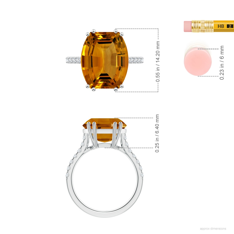 14.04x12.06x8.06mm AAAA FC_SR2840CTD_H-PT-AAAA-14.04x12.06x8.06 in P950 Platinum ruler