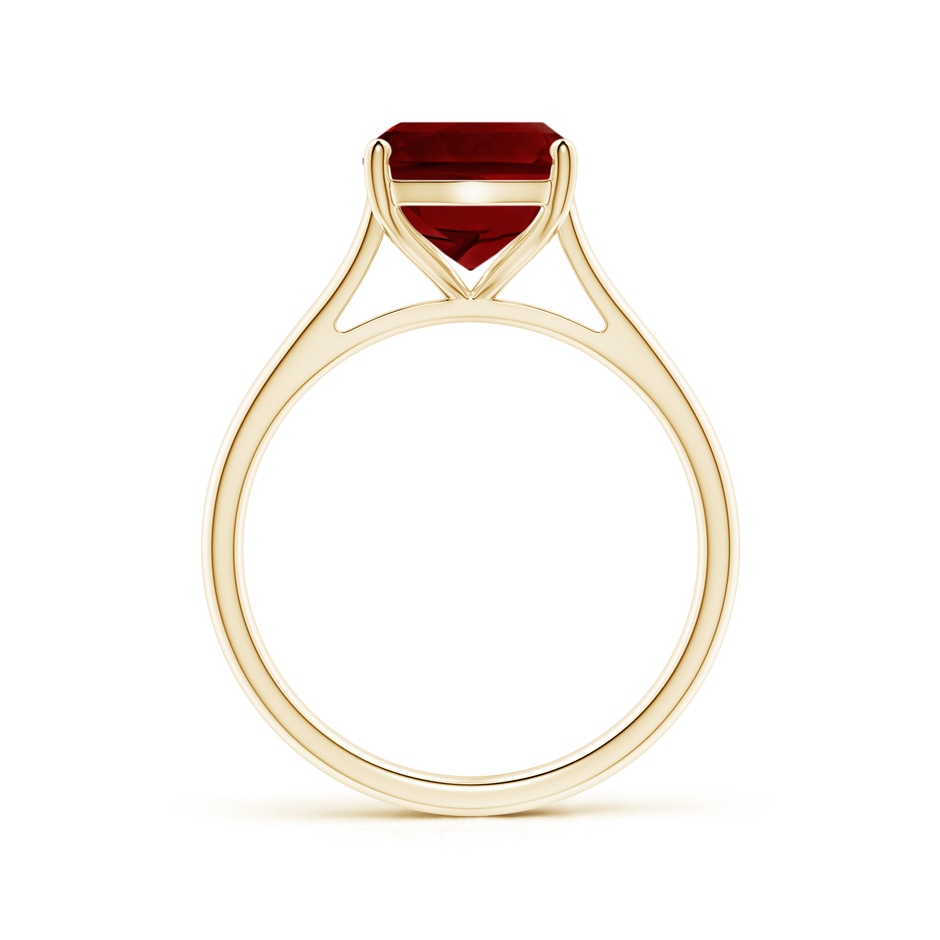 10x8mm AAAA Rectangular Cushion Garnet Cocktail Ring in Yellow Gold side-1