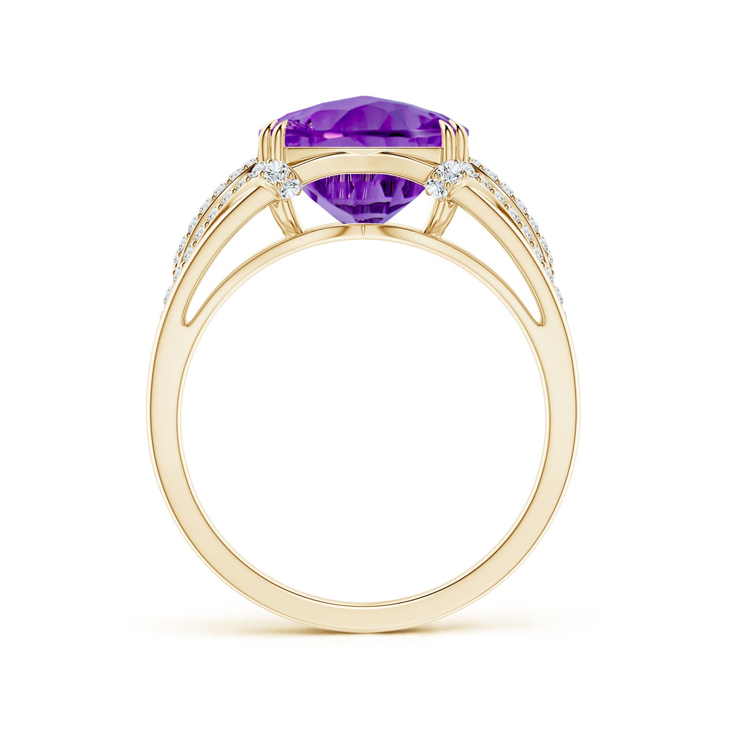 AAAA - Amethyst / 3.84 CT / 14 KT Yellow Gold