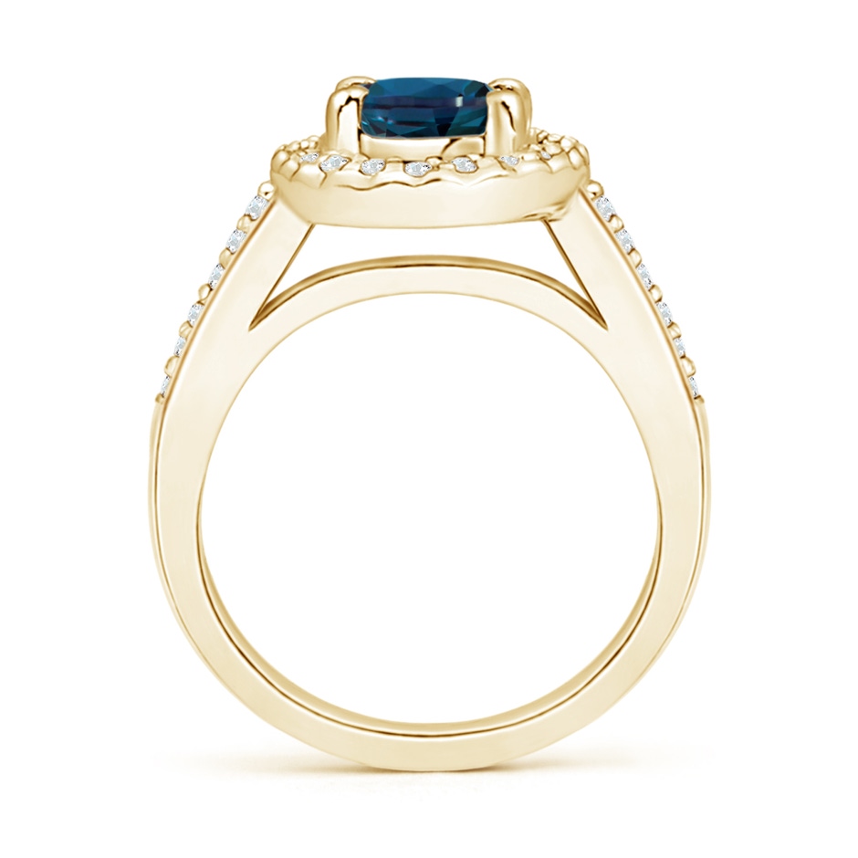 8x6mm Labgrown Classic Oval Lab-Grown Alexandrite Halo Ring with Diamond Accents in Yellow Gold side 199
