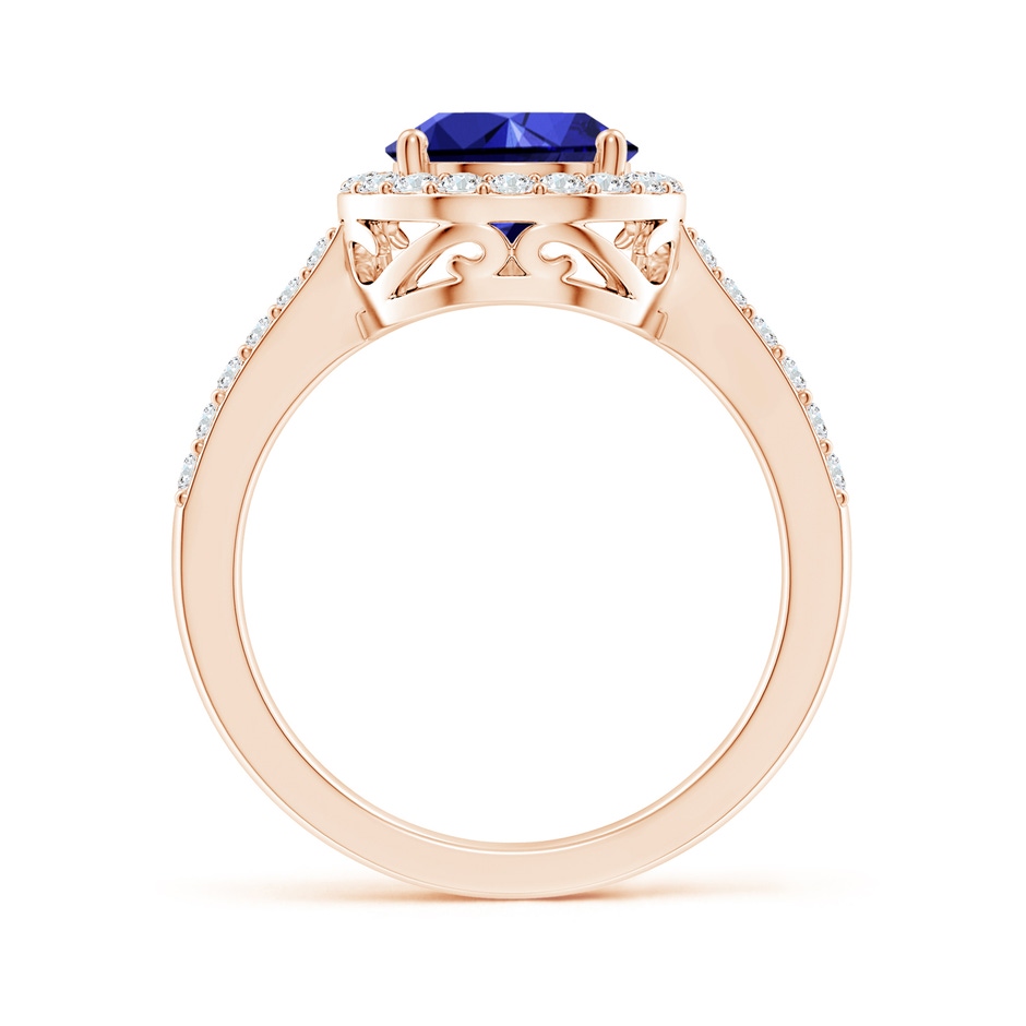 10x8mm Labgrown Lab-Grown Pear Sapphire Ring with Diamond Halo in Rose Gold side 199