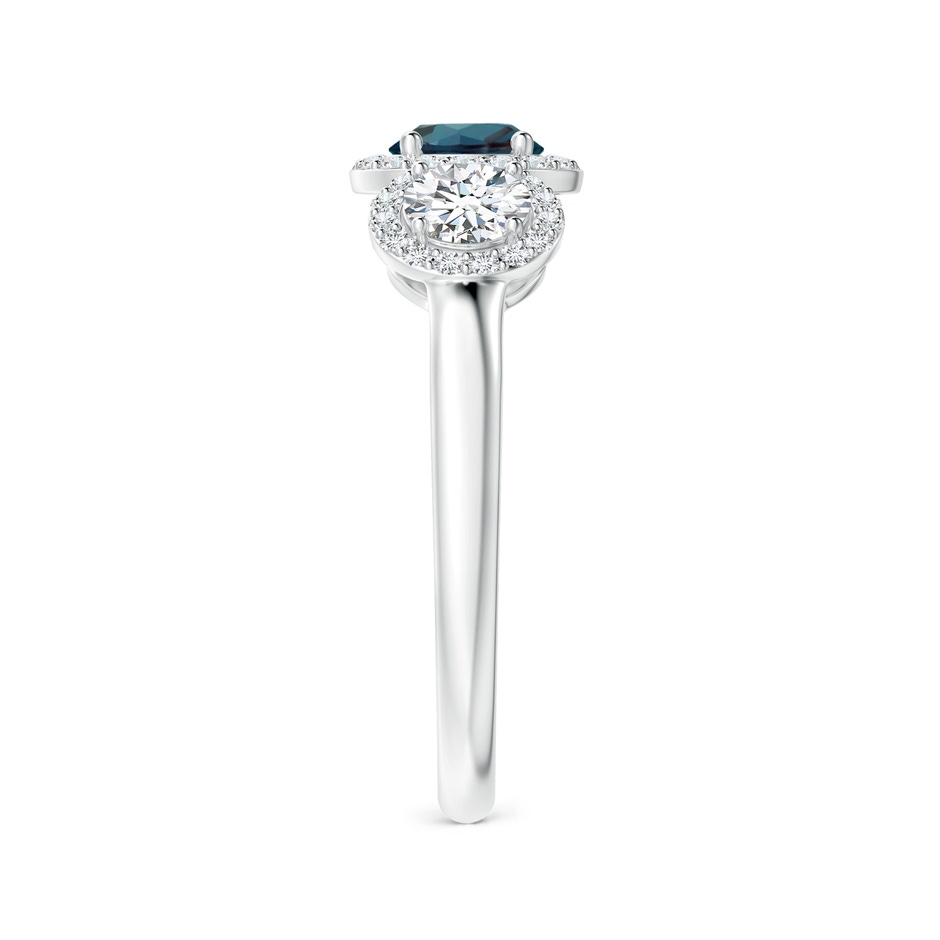 5mm Labgrown Round Lab-Grown Alexandrite Three Stone Halo Ring with Diamonds in White Gold side 299