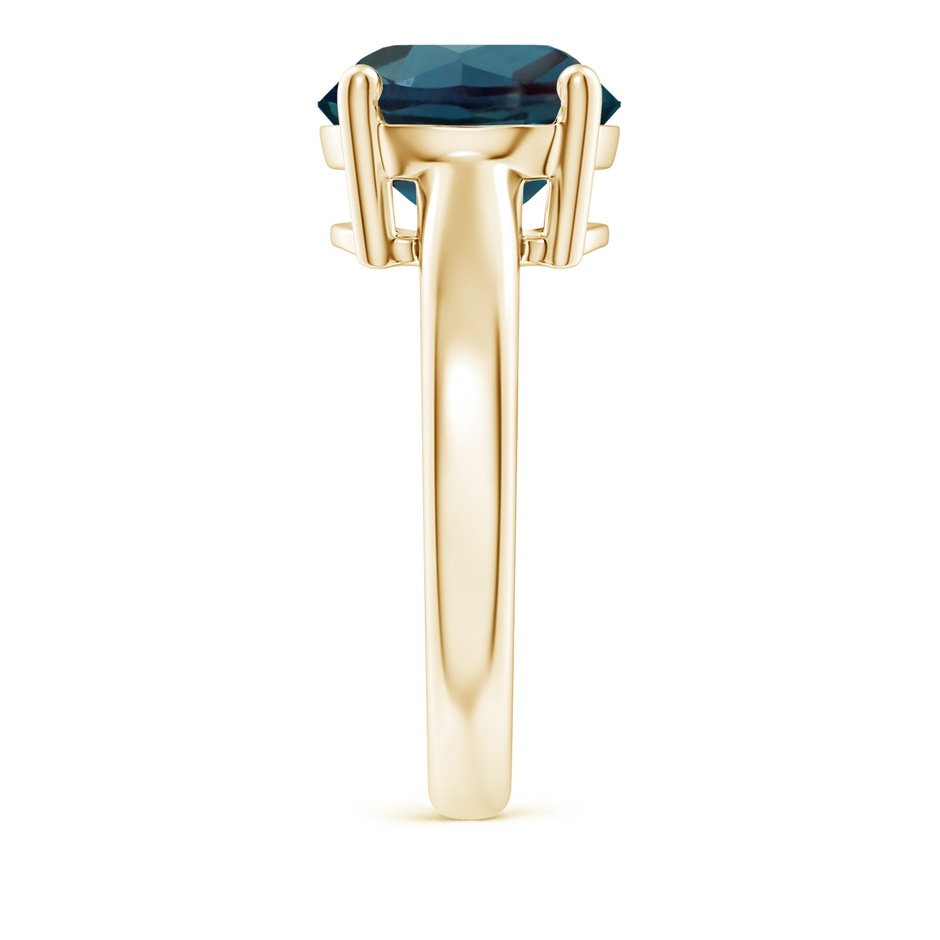 10mm Labgrown Round Lab-Grown Alexandrite Solitaire Engagement Ring in 18K Yellow Gold side 299