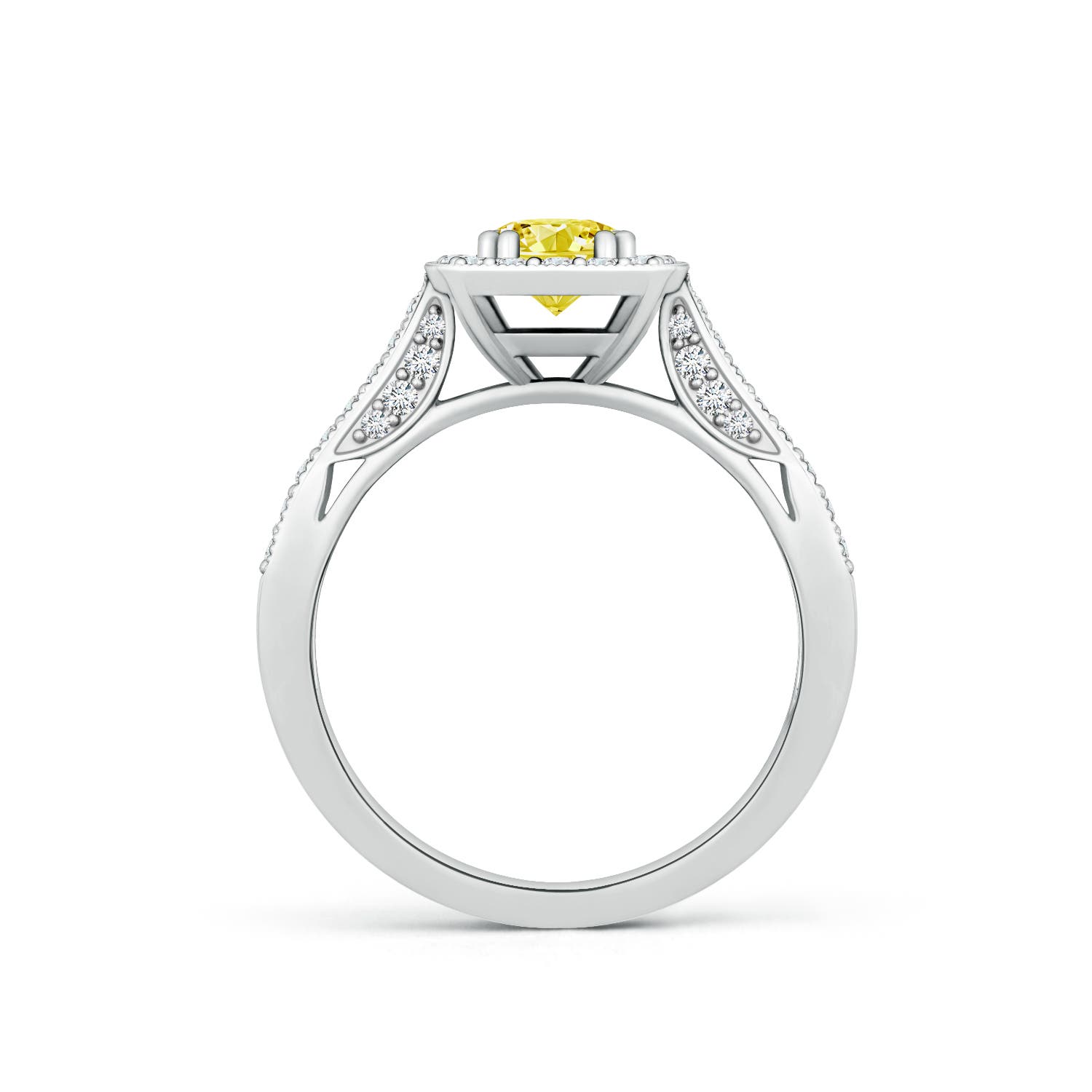 5.5mm Labgrown Round Lab-Grown Fancy Intense Yellow Diamond Cushion Halo Ring with Milgrain in White Gold - side 2