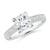 2 5/8 carats