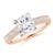 2 5/8 carats
