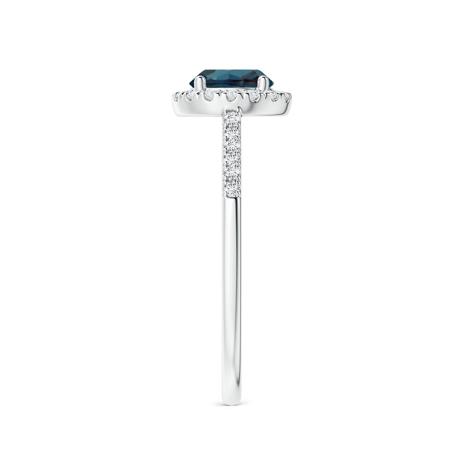 6mm Labgrown Round Lab-Grown Alexandrite Halo Ring with Diamond Accents in White Gold side 299