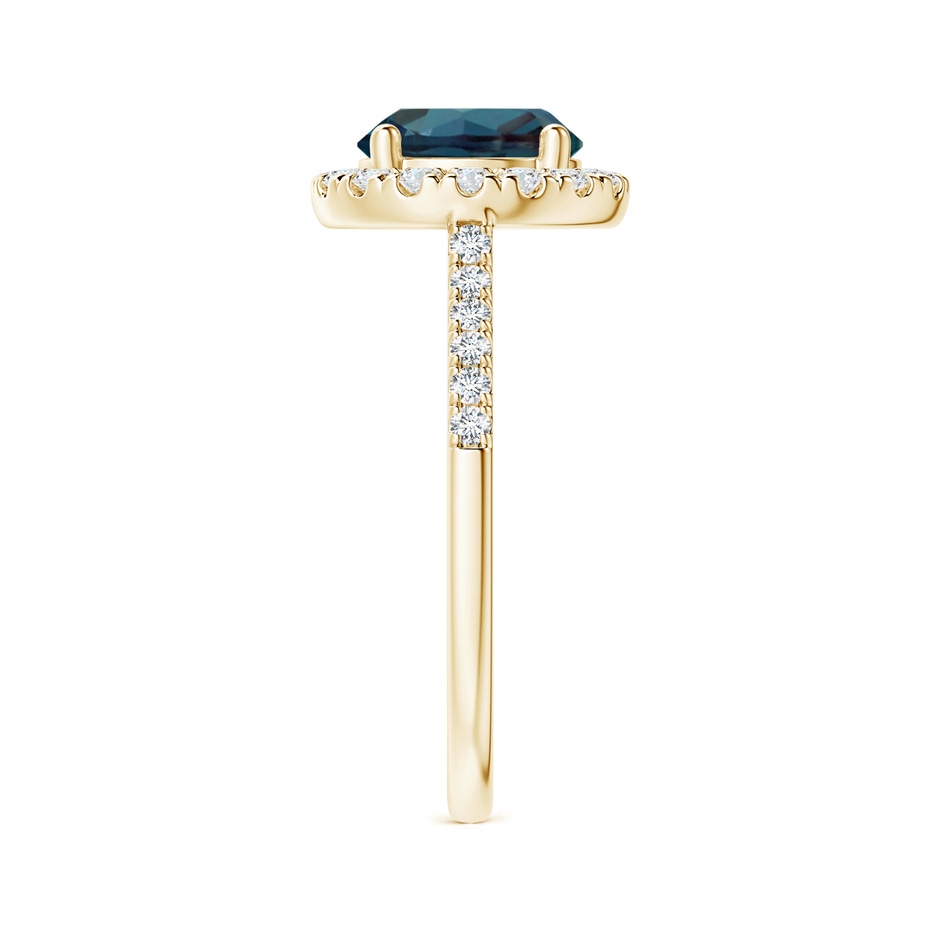 8mm Labgrown Round Lab-Grown Alexandrite Halo Ring with Diamond Accents in 18K Yellow Gold side 299