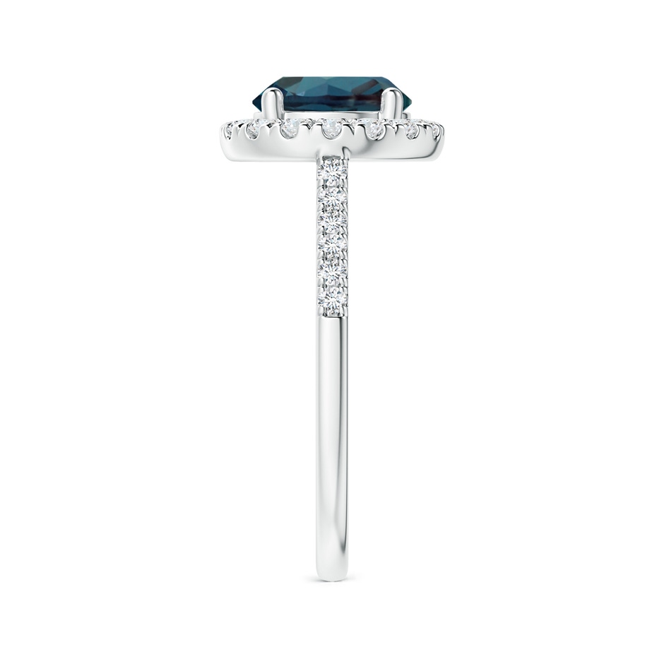 8mm Labgrown Round Lab-Grown Alexandrite Halo Ring with Diamond Accents in P950 Platinum side 299