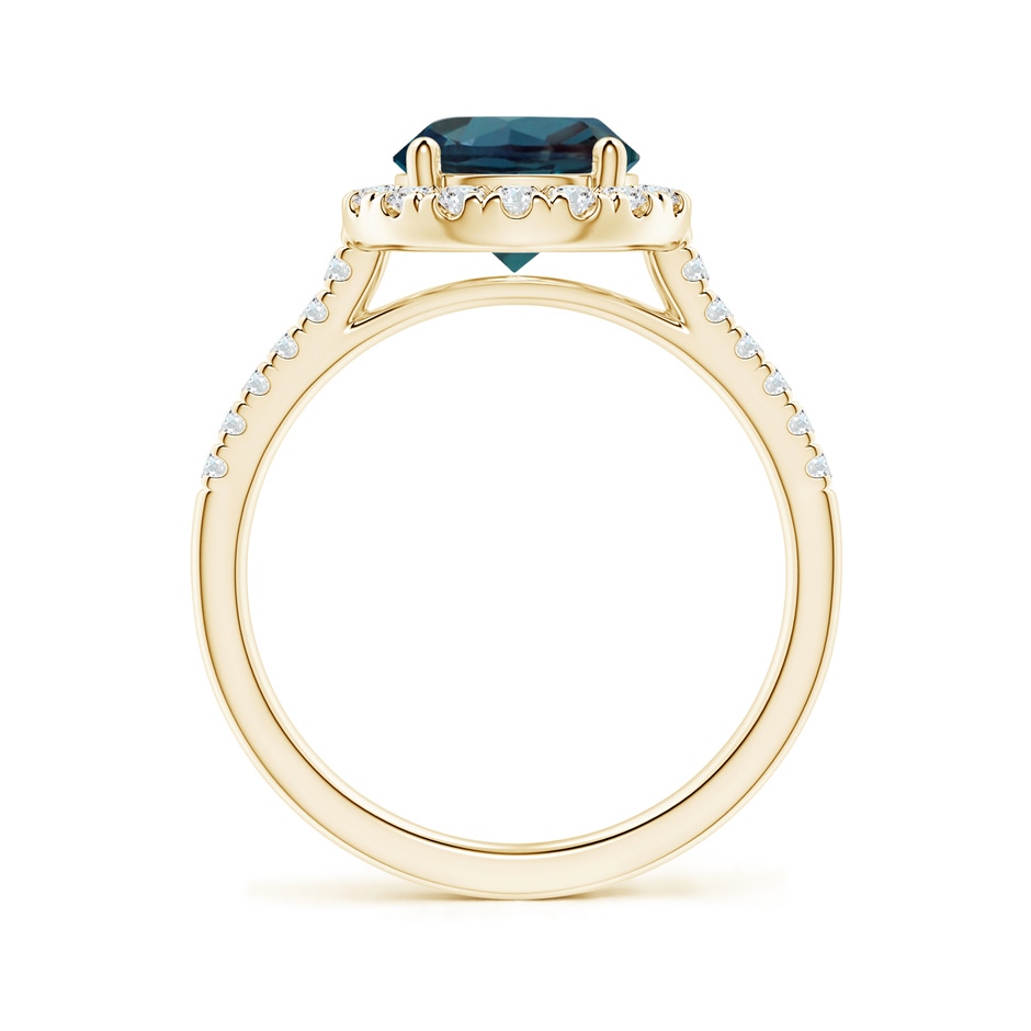 8mm Labgrown Round Lab-Grown Alexandrite Halo Ring with Diamond Accents in Yellow Gold side 199
