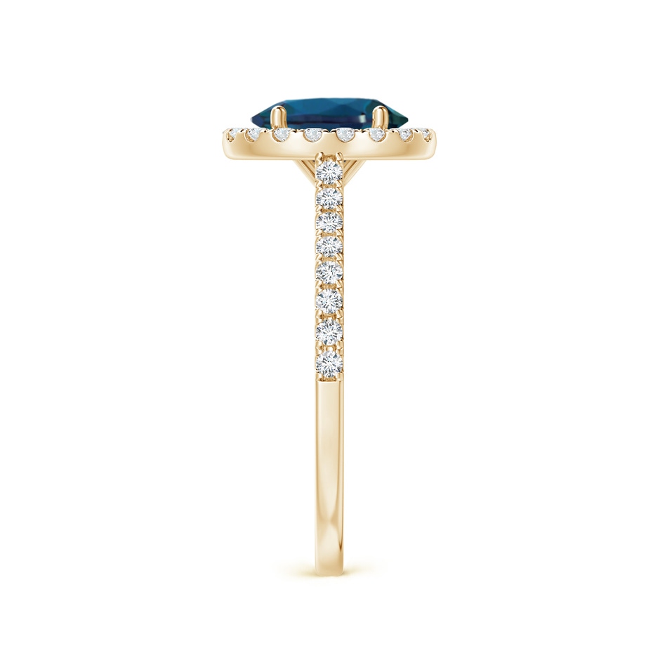 8x6mm Labgrown Oval Lab-Grown Alexandrite Halo Ring with Diamond Accents in 18K Yellow Gold side 299