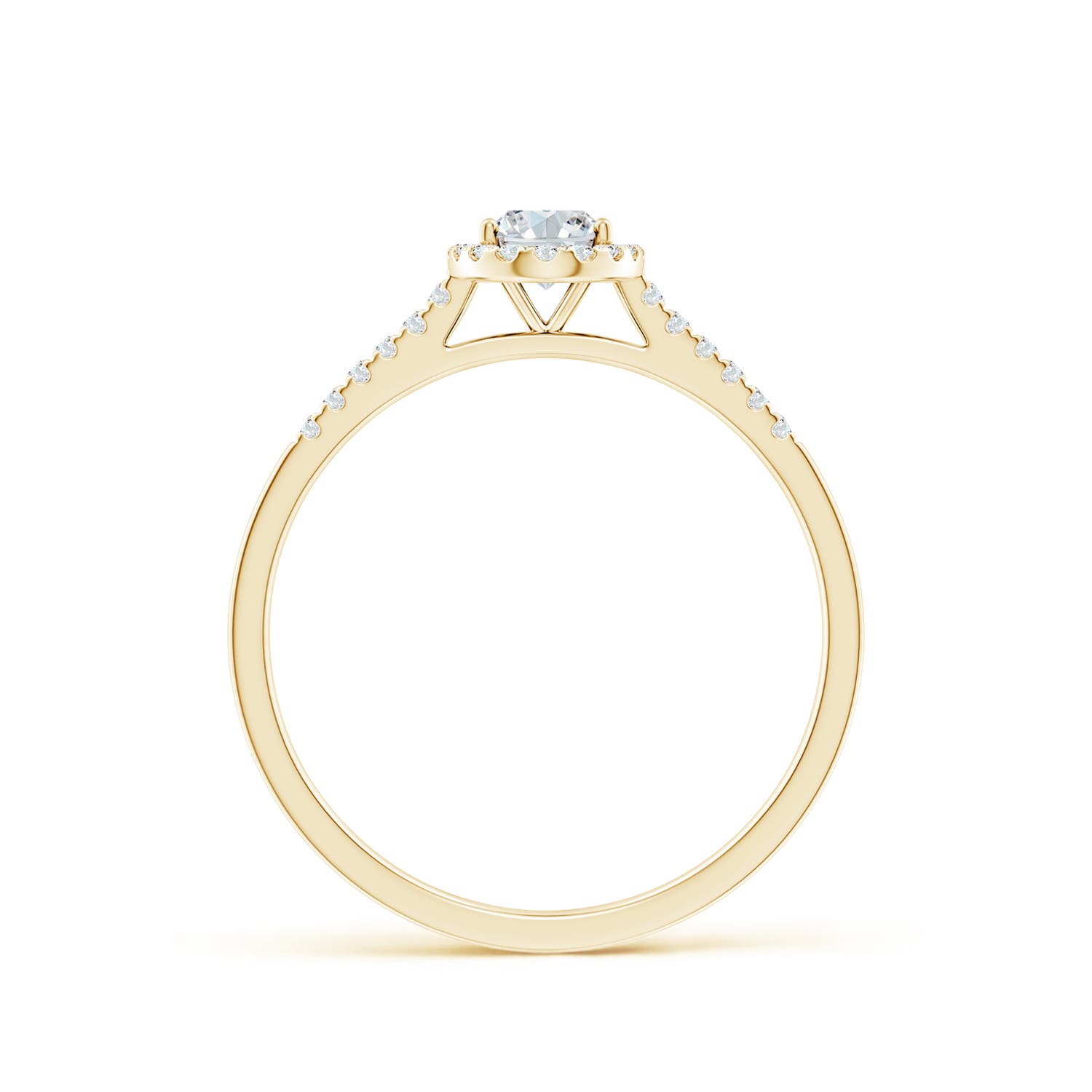 6x4mm FGVS Lab-Grown Oval Diamond Halo Ring in Yellow Gold - side 3