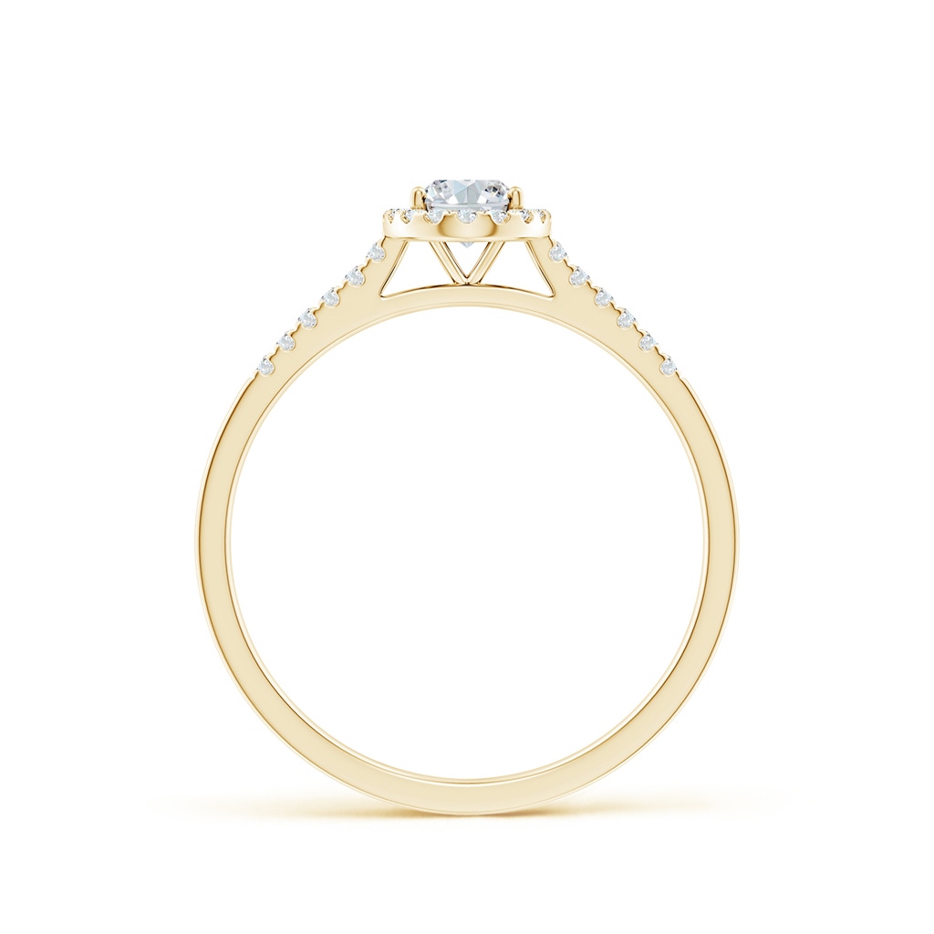 6x4mm FGVS Lab-Grown Oval Diamond Halo Ring in Yellow Gold - side 199