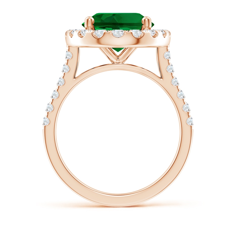 12x10mm Labgrown Lab-Grown Oval Emerald Halo Ring with Diamond Accents in Rose Gold side 199
