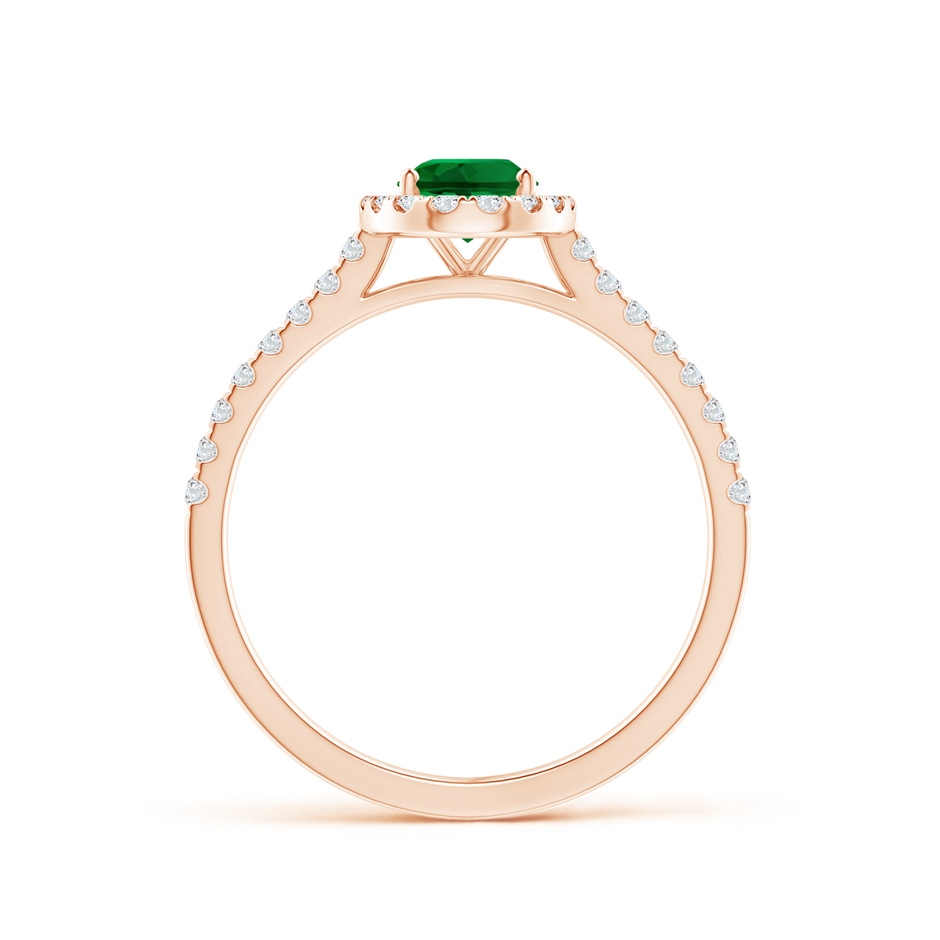 7x5mm Labgrown Lab-Grown Oval Emerald Halo Ring with Diamond Accents in Rose Gold side 199