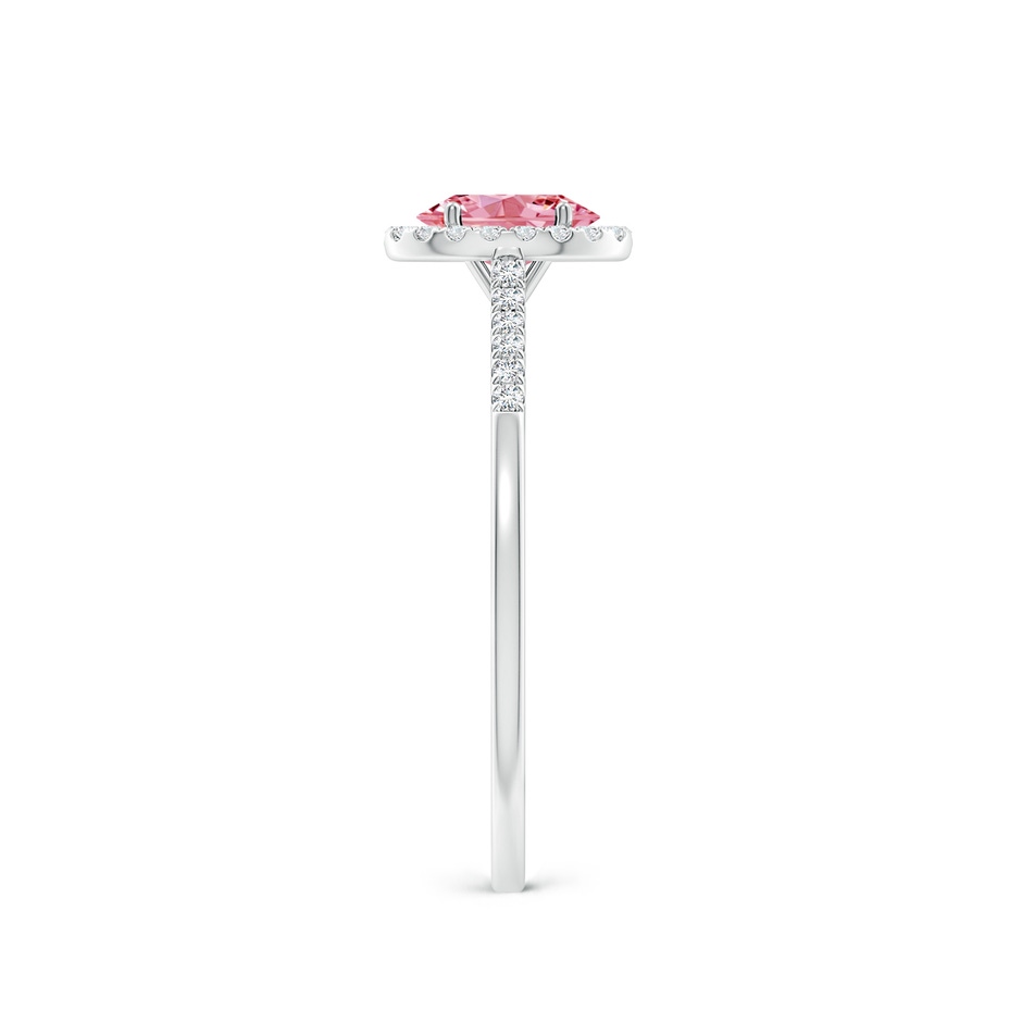 6x4mm Labgrown Oval Lab-Grown Fancy Intense Pink Diamond Halo Ring in P950 Platinum side 299