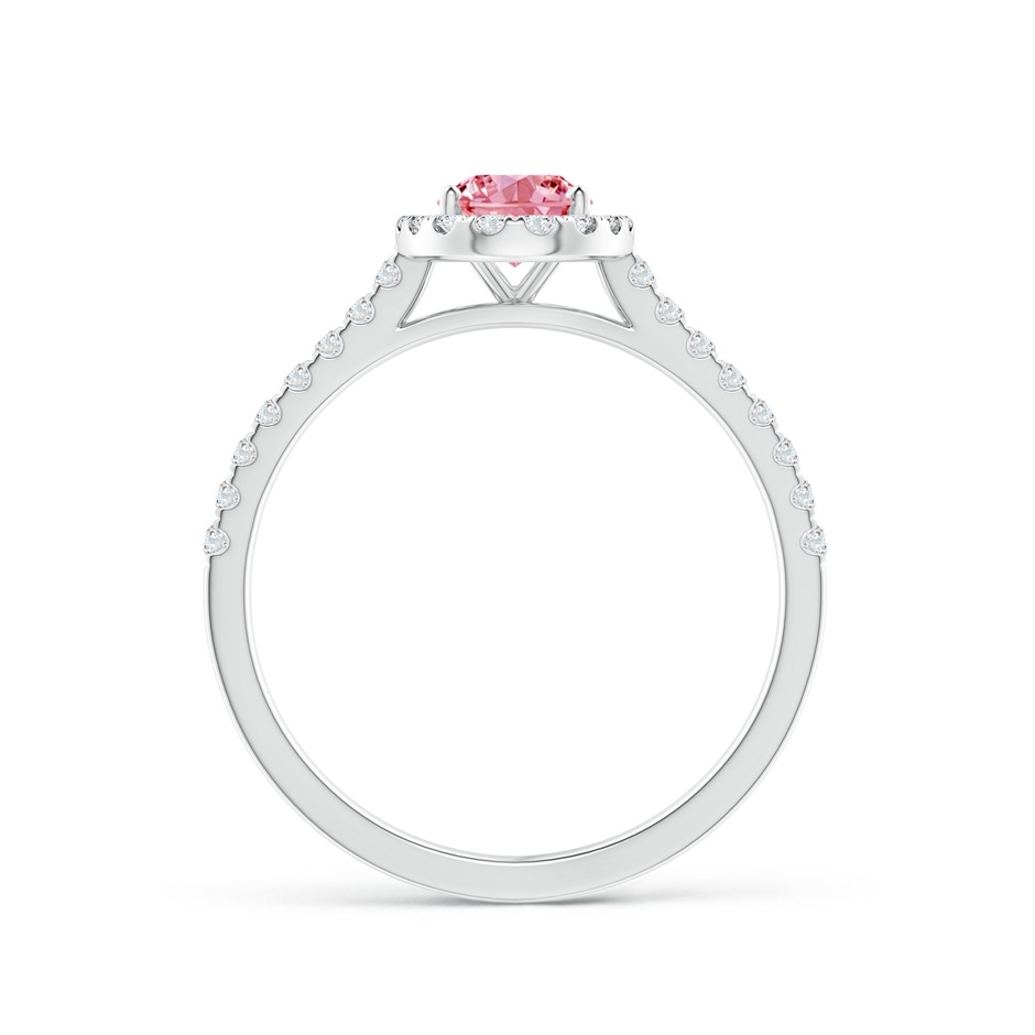 7x5mm Labgrown Oval Lab-Grown Fancy Intense Pink Diamond Halo Ring in P950 Platinum side 199