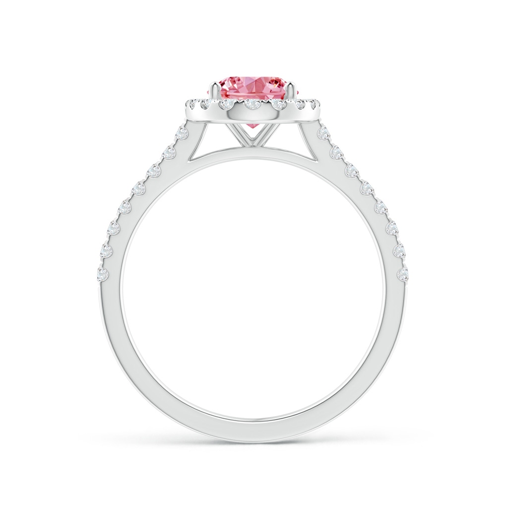8x6mm Labgrown Oval Lab-Grown Fancy Intense Pink Diamond Halo Ring in White Gold - side 199
