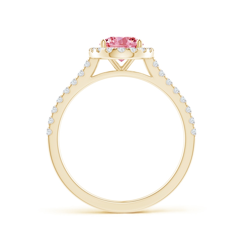 8x6mm Labgrown Oval Lab-Grown Fancy Intense Pink Diamond Halo Ring in Yellow Gold side 199