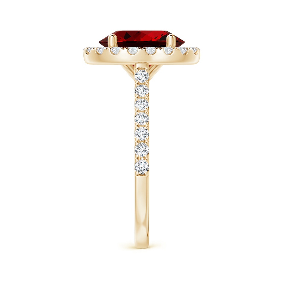 10x8mm Labgrown Lab-Grown Oval Ruby Halo Ring with Diamond Accents in 10K Yellow Gold side 299