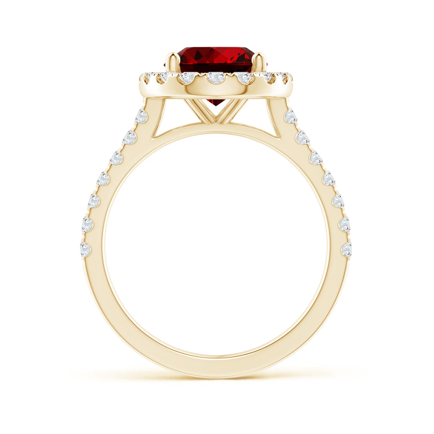 10x8mm Labgrown Lab-Grown Oval Ruby Halo Ring with Diamond Accents in Yellow Gold - side 3