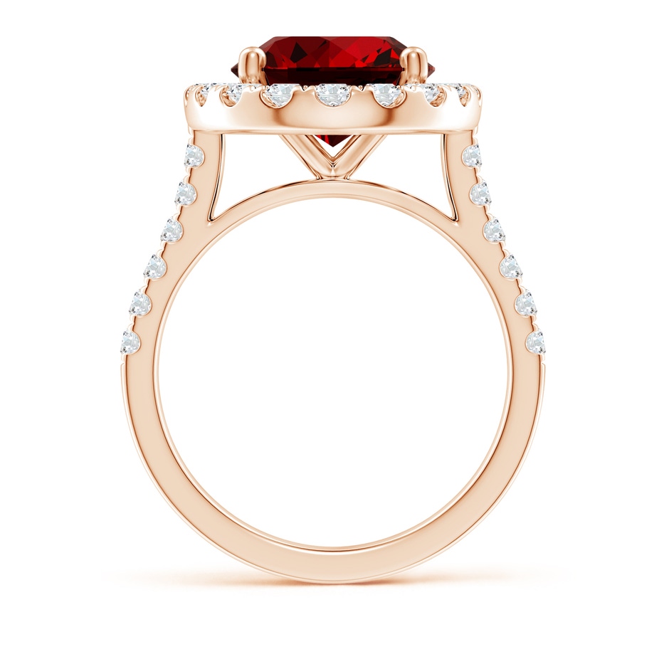 12x10mm Labgrown Lab-Grown Oval Ruby Halo Ring with Diamond Accents in Rose Gold side 199