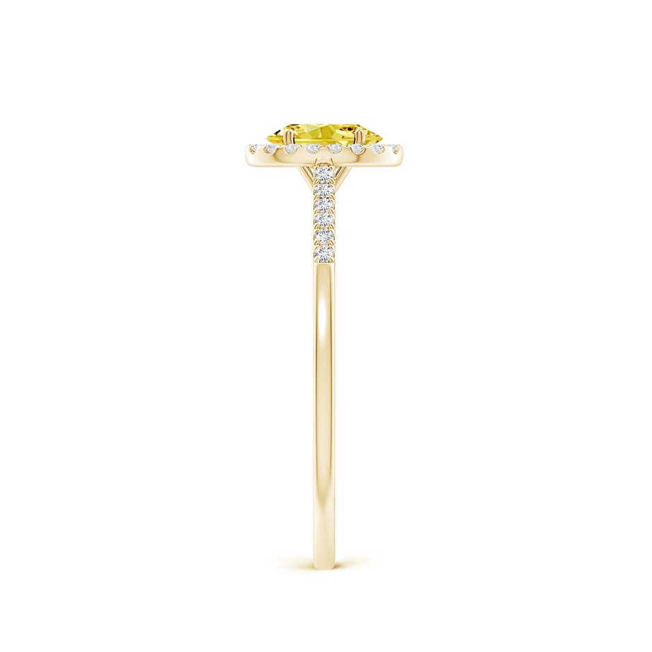 6x4mm Labgrown Oval Lab-Grown Fancy Intense Yellow Diamond Halo Ring in 9K Yellow Gold side 299