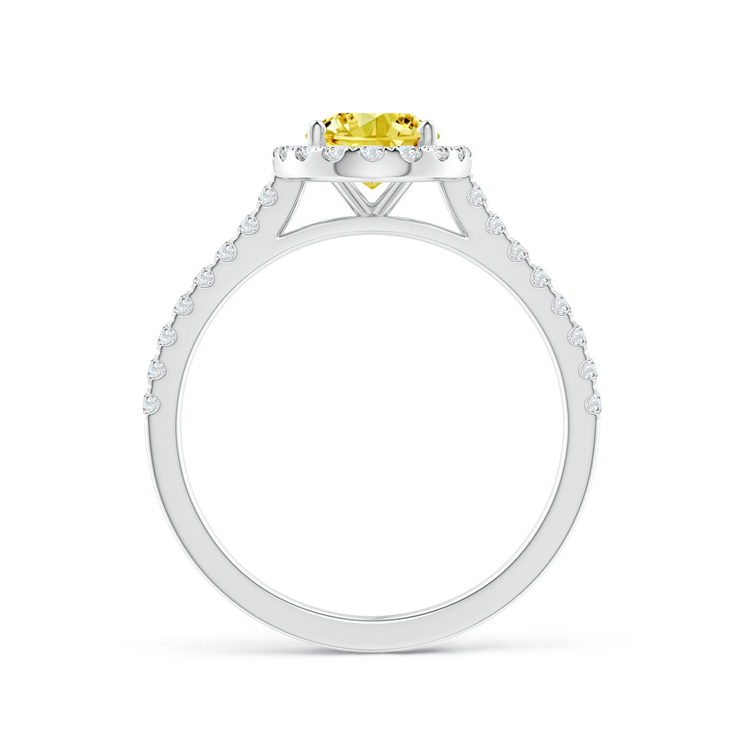 8x6mm Labgrown Oval Lab-Grown Fancy Intense Yellow Diamond Halo Ring in White Gold - side 2