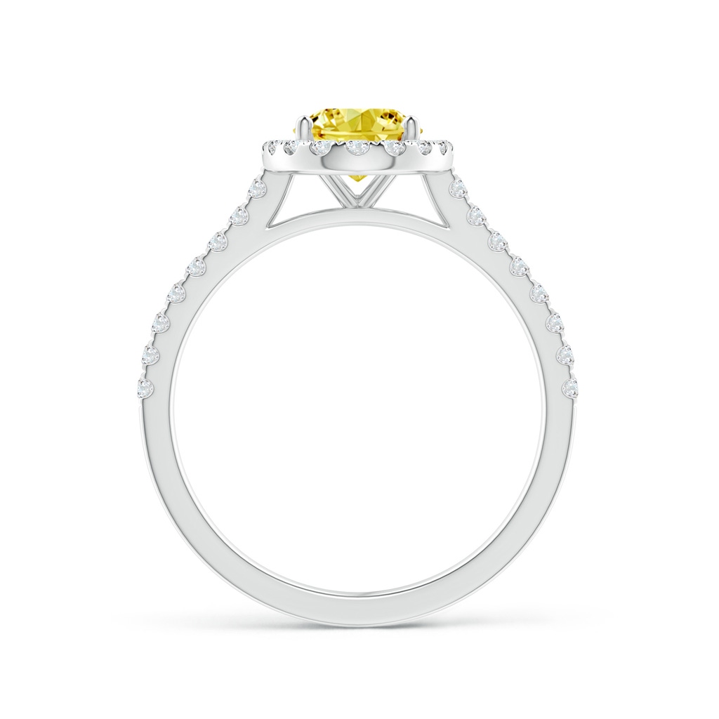 8x6mm Labgrown Oval Lab-Grown Fancy Intense Yellow Diamond Halo Ring in White Gold - side 199