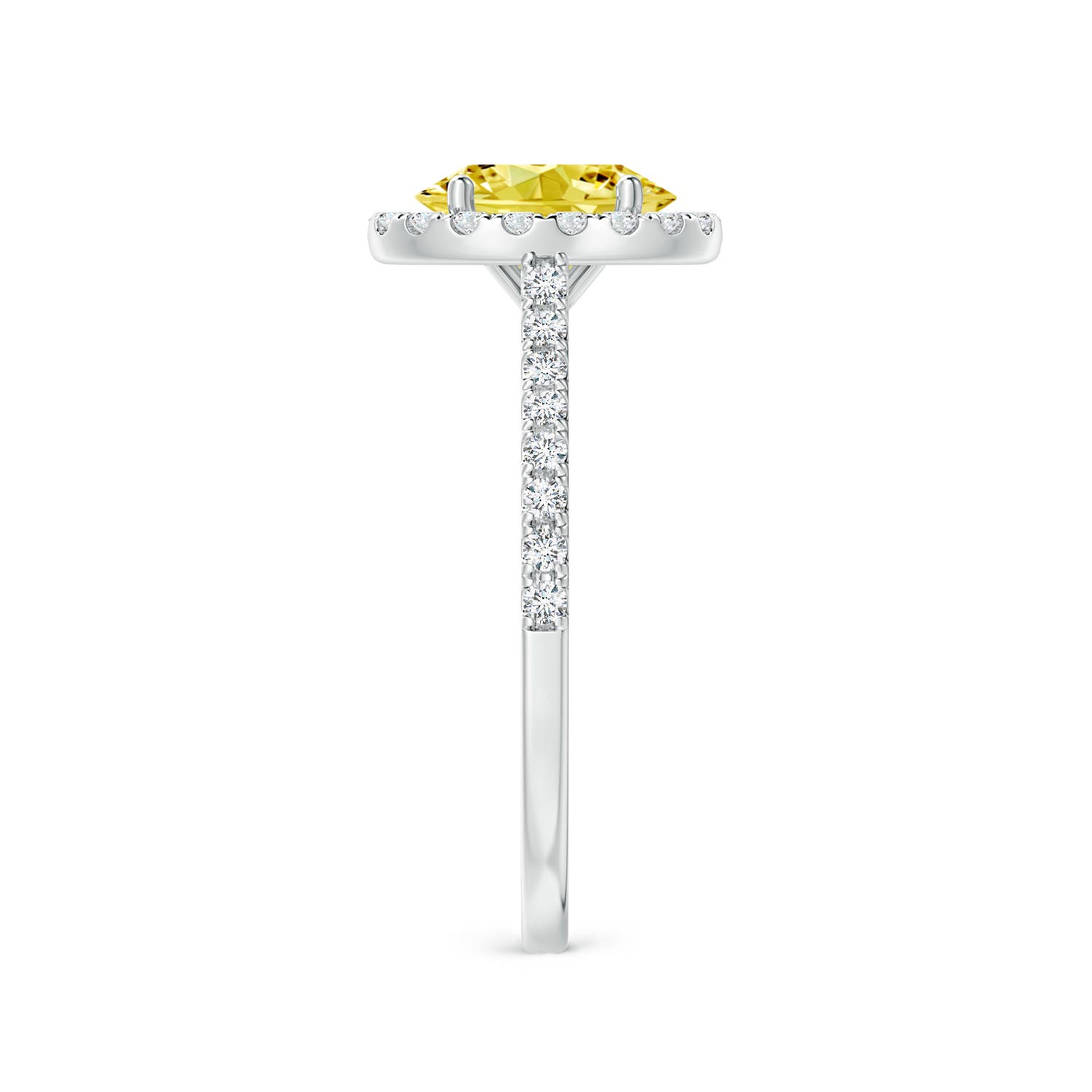 8x6mm Labgrown Oval Lab-Grown Fancy Intense Yellow Diamond Halo Ring in White Gold - side 3