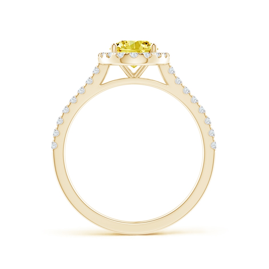 8x6mm Labgrown Oval Lab-Grown Fancy Intense Yellow Diamond Halo Ring in Yellow Gold side 199
