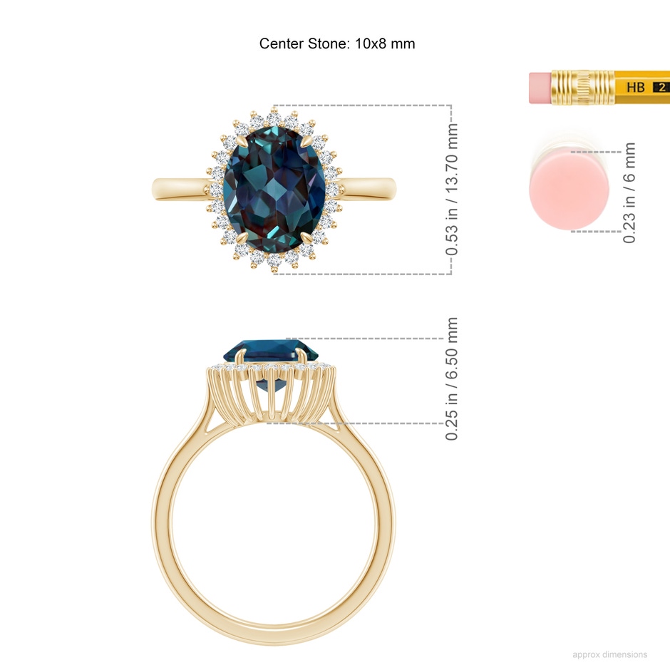 10x8mm Labgrown Classic Oval Lab-Grown Alexandrite Floral Halo Ring in Yellow Gold ruler