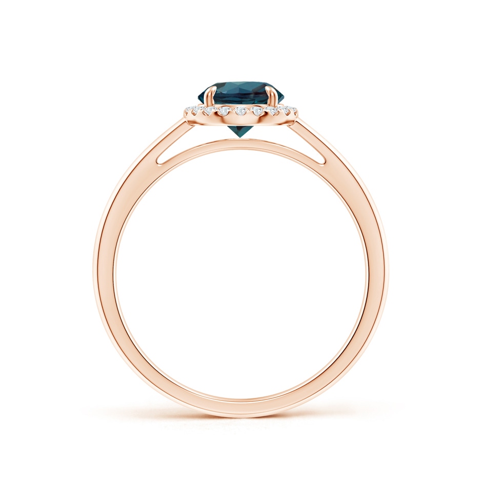6mm Labgrown Round Lab-Grown Alexandrite Cathedral Ring with Diamond Halo in 18K Rose Gold side 199