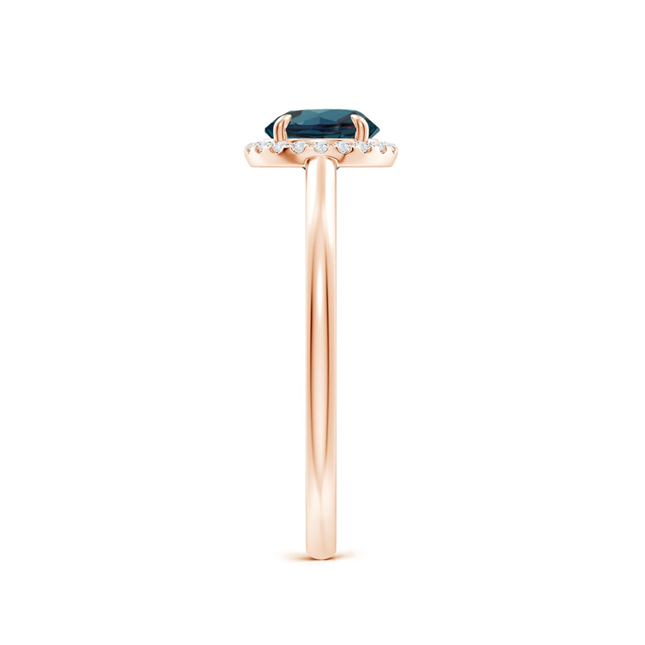 6mm Labgrown Round Lab-Grown Alexandrite Cathedral Ring with Diamond Halo in 18K Rose Gold side 299