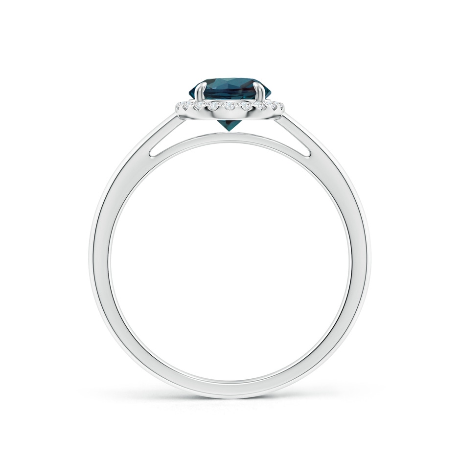 6mm Labgrown Round Lab-Grown Alexandrite Cathedral Ring with Diamond Halo in 18K White Gold side 199