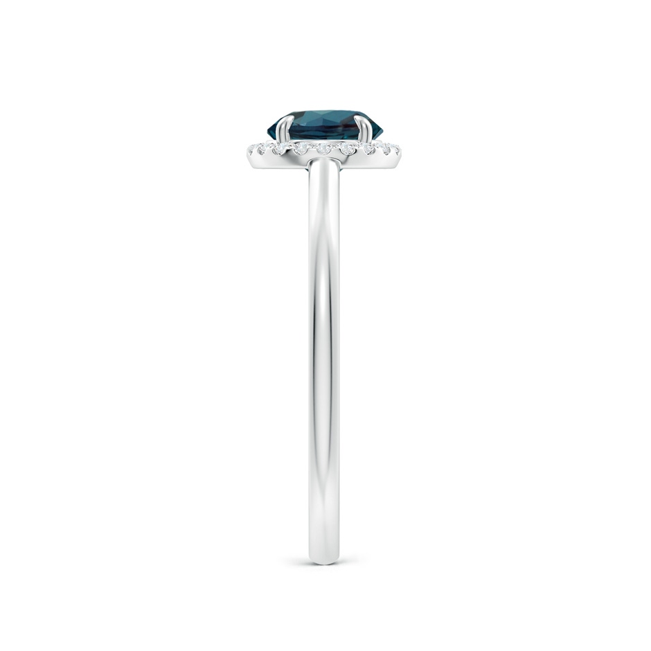 6mm Labgrown Round Lab-Grown Alexandrite Cathedral Ring with Diamond Halo in 18K White Gold side 299