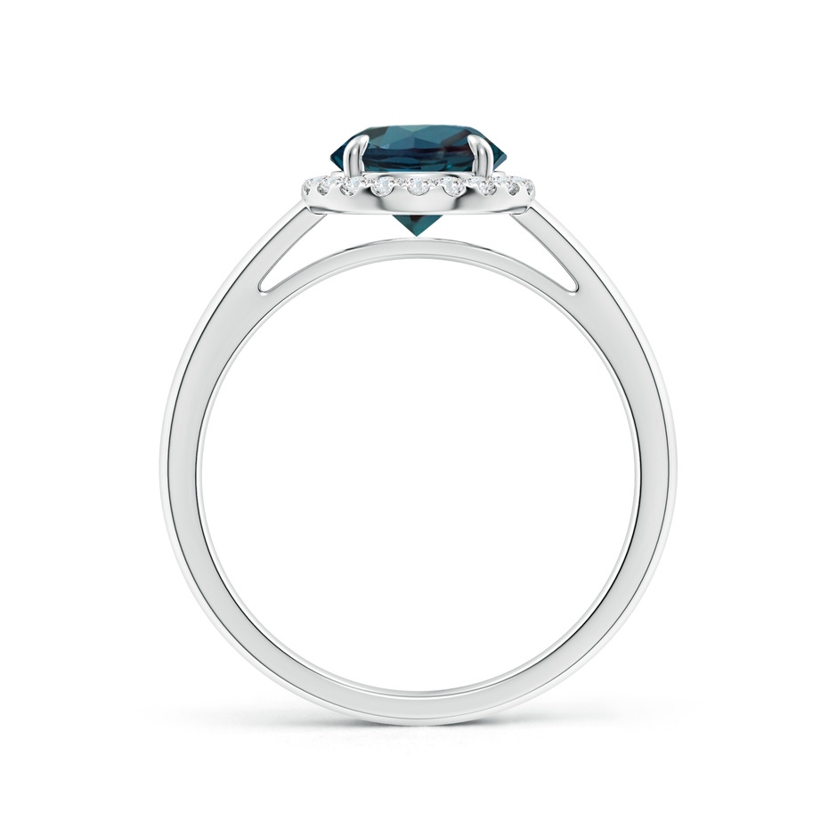 7mm Labgrown Round Lab-Grown Alexandrite Cathedral Ring with Diamond Halo in P950 Platinum side 199