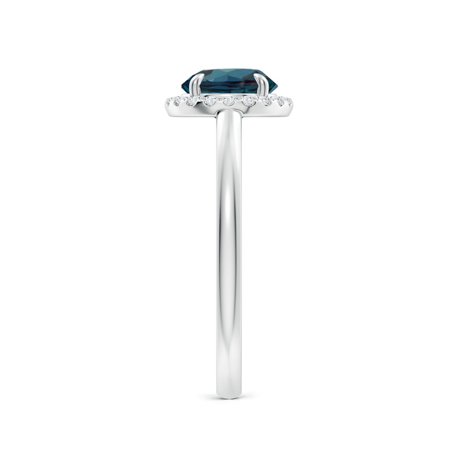 7mm Labgrown Round Lab-Grown Alexandrite Cathedral Ring with Diamond Halo in P950 Platinum side 299